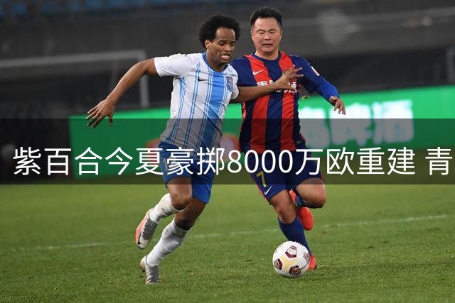 紫百合今夏豪掷8000万欧重建 青年军能否开启复兴之路